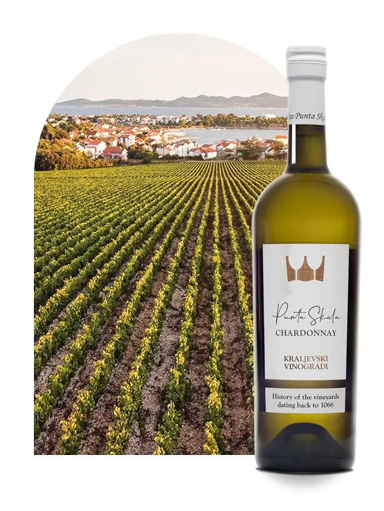 Chardonnay